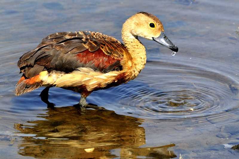 Chilaw Sand Spits Sanctuary
